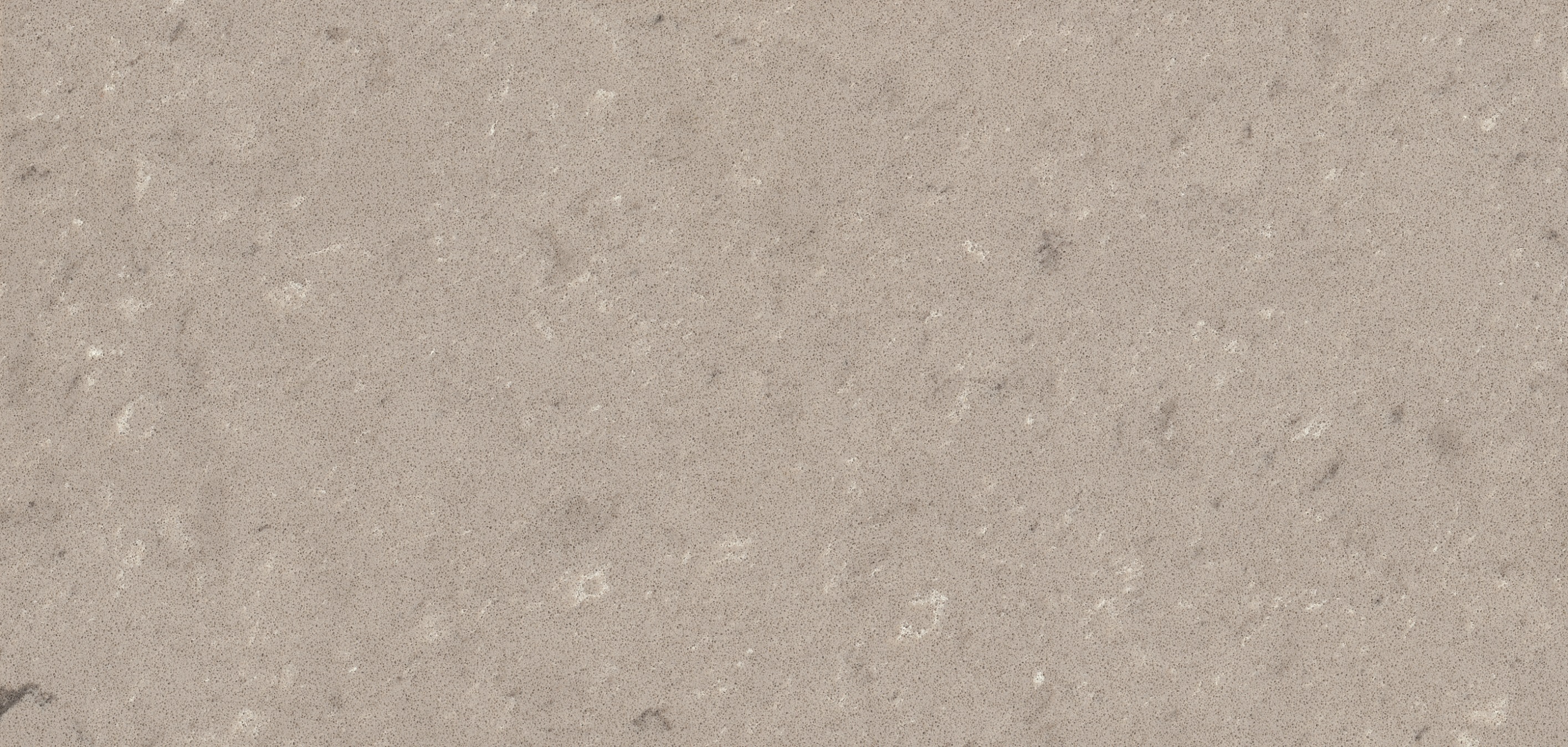 Clamshell | Linea Stone